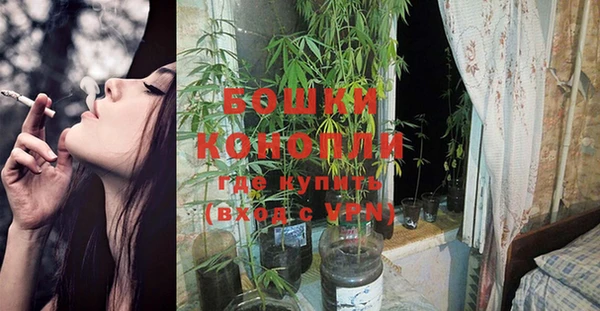 сатива Вяземский