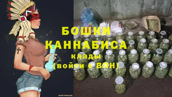 сатива Вяземский