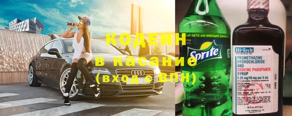 сатива Вяземский