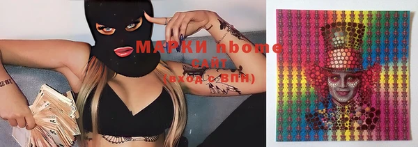 сатива Вяземский