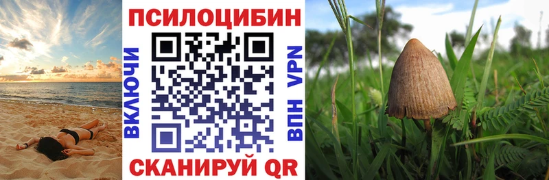 Галлюциногенные грибы GOLDEN TEACHER купить наркотики цена Иланский